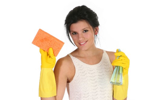 Professional carpet cleaning team at work in a serviced interior