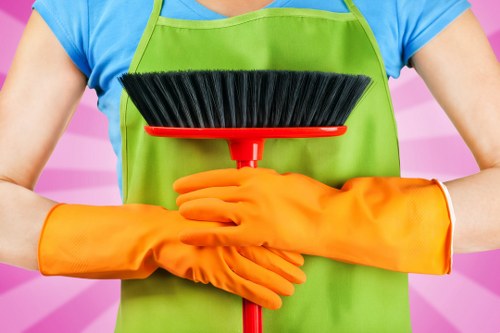 Deep cleaning methods for pet odour removal in Soho homes