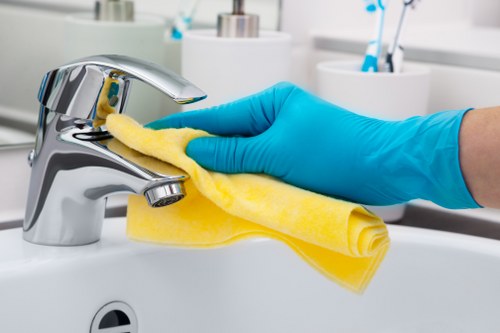 Technician explaining cleaning options before starting the job