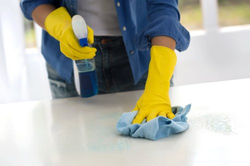 Risk assessment being completed before a carpet cleaning appointment