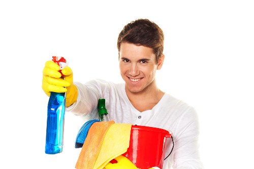 Upholstery and carpet pet stain treatment in Soho property